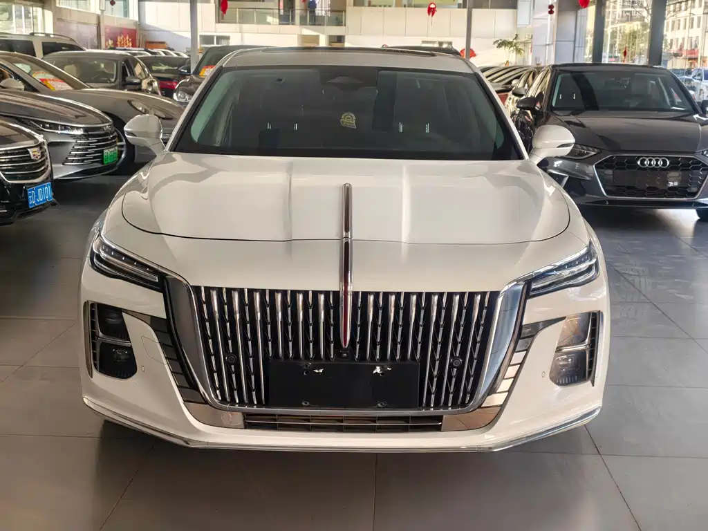 Hongqi Hongqi H5 — миниатюра 2