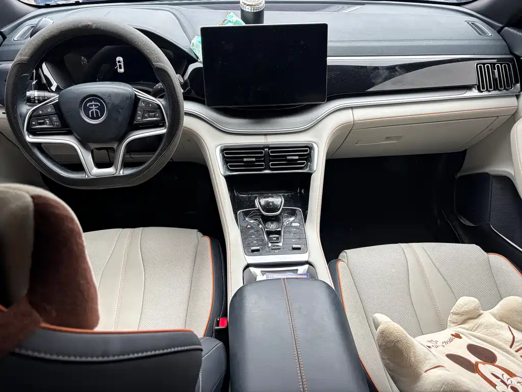BYD PLUS New Energy — миниатюра 13
