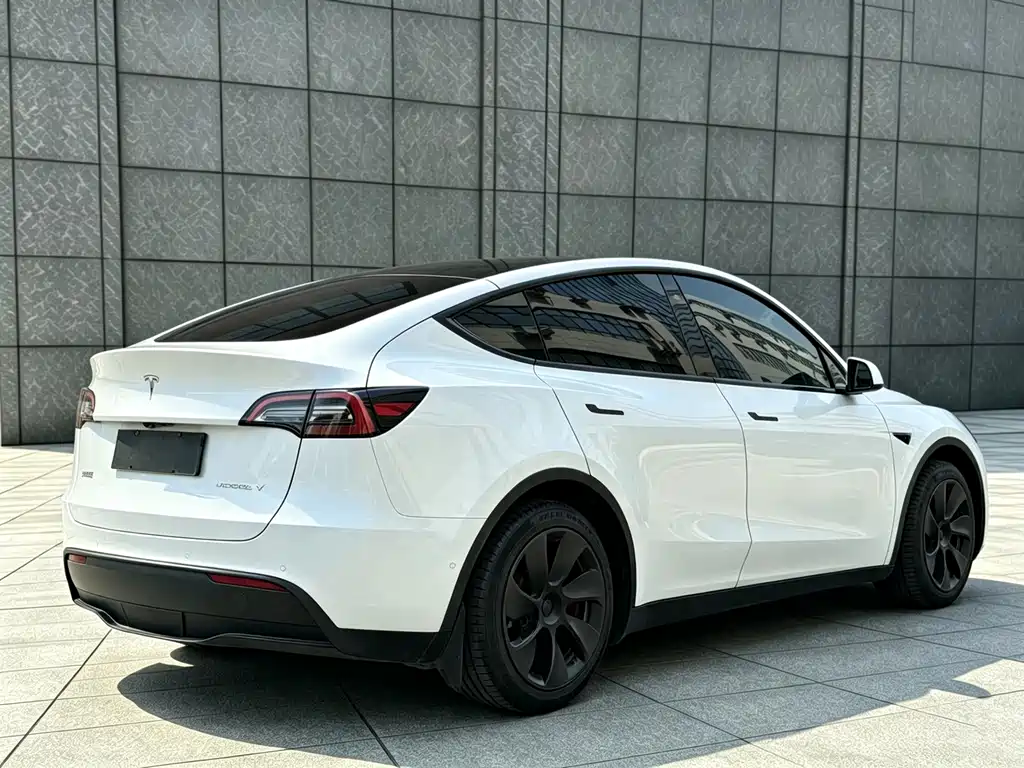 Tesla Model Y — миниатюра 15