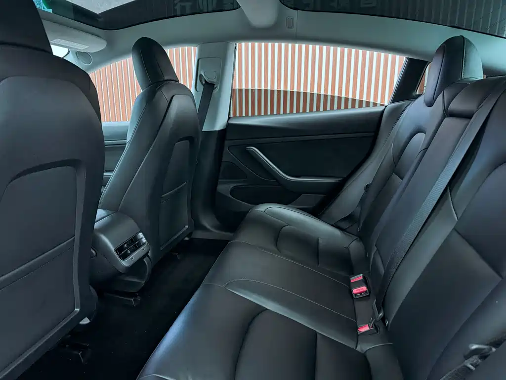 Tesla Model 3 — миниатюра 8