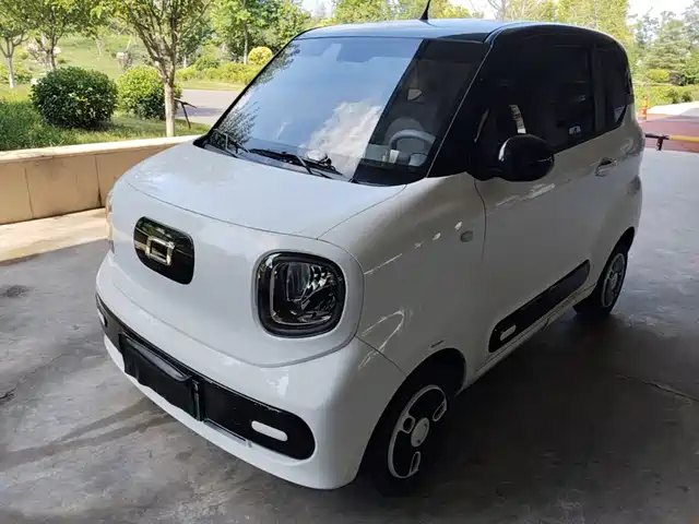 2024 Bestune Pony