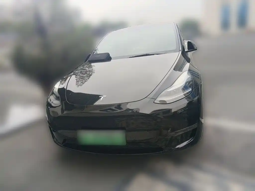 Tesla Model Y — миниатюра 2