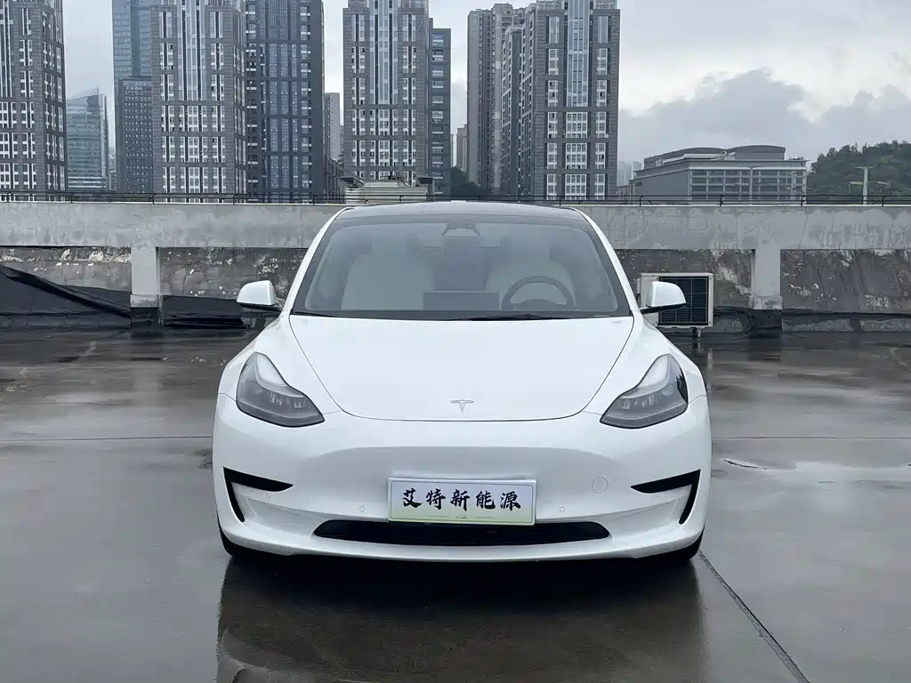 Tesla Model 3 — миниатюра 3
