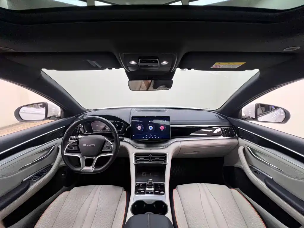 BYD PLUS New Energy — миниатюра 9