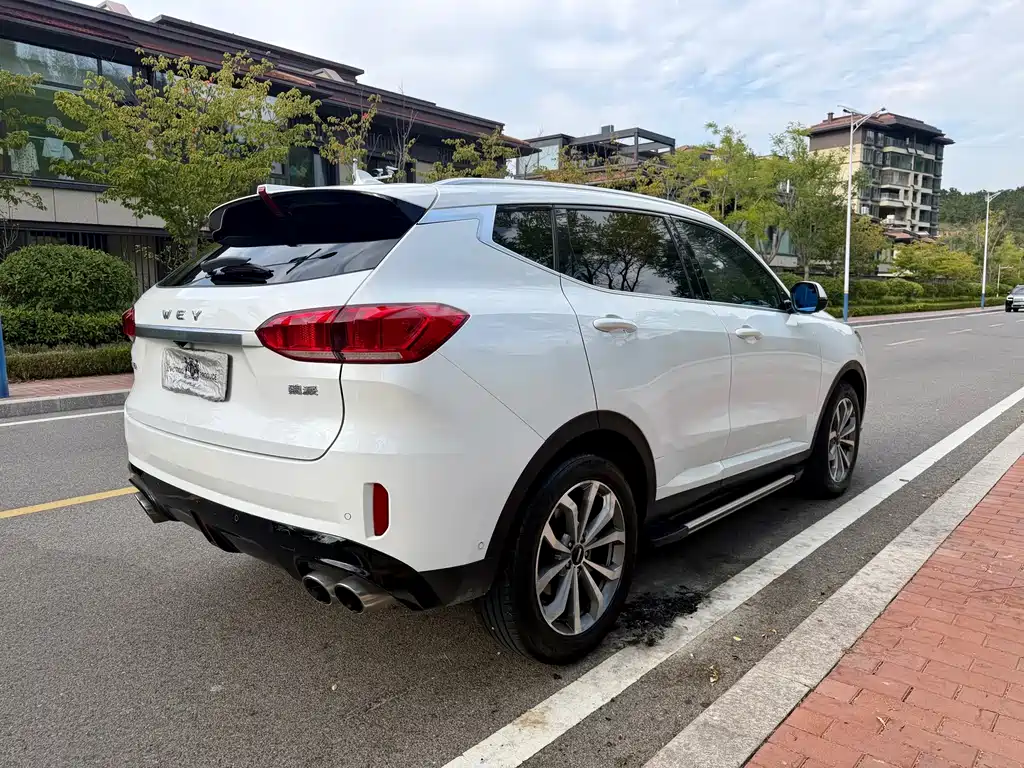 Wey Wey VV6 — миниатюра 4
