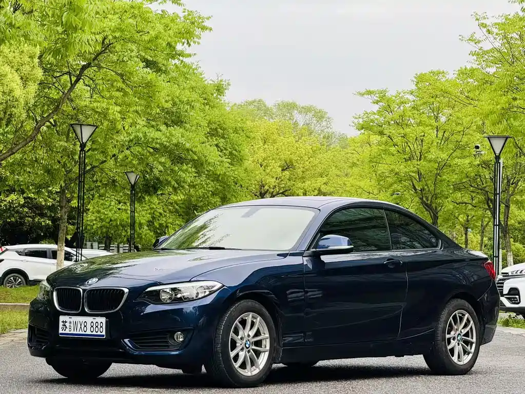 BMW 2 Series (Import) 2016