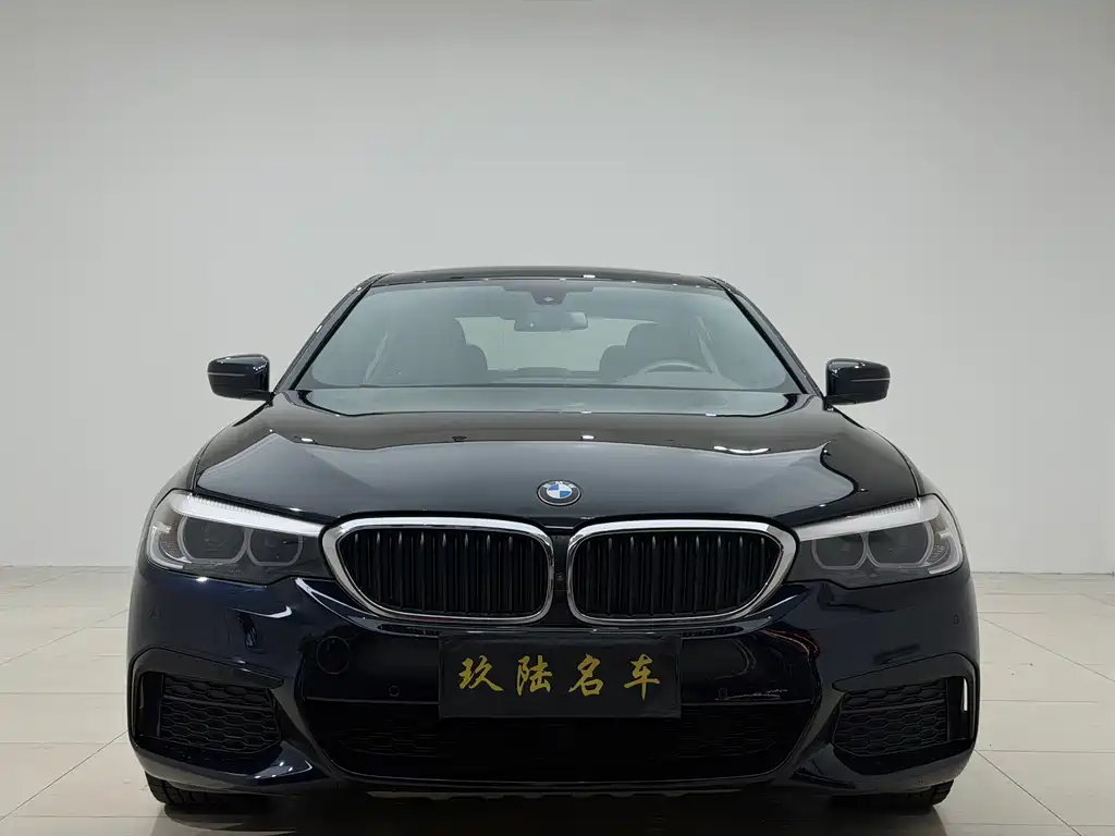 BMW 5 Series — миниатюра 2