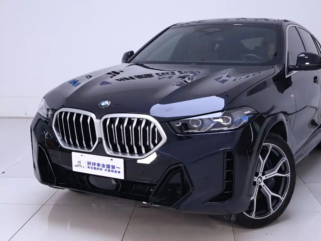 BMW X6 — миниатюра 3