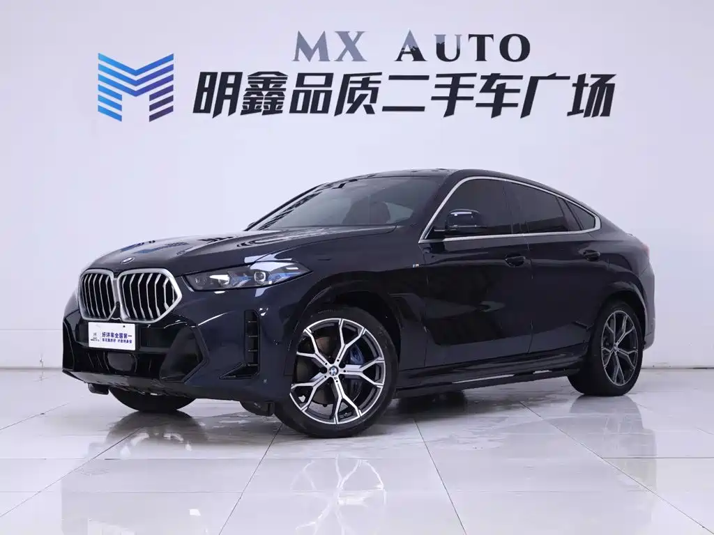 BMW X6 — миниатюра 2