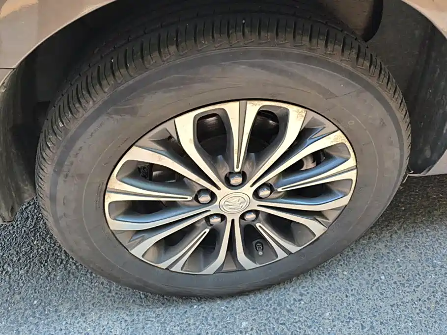 Buick GL8 — миниатюра 6