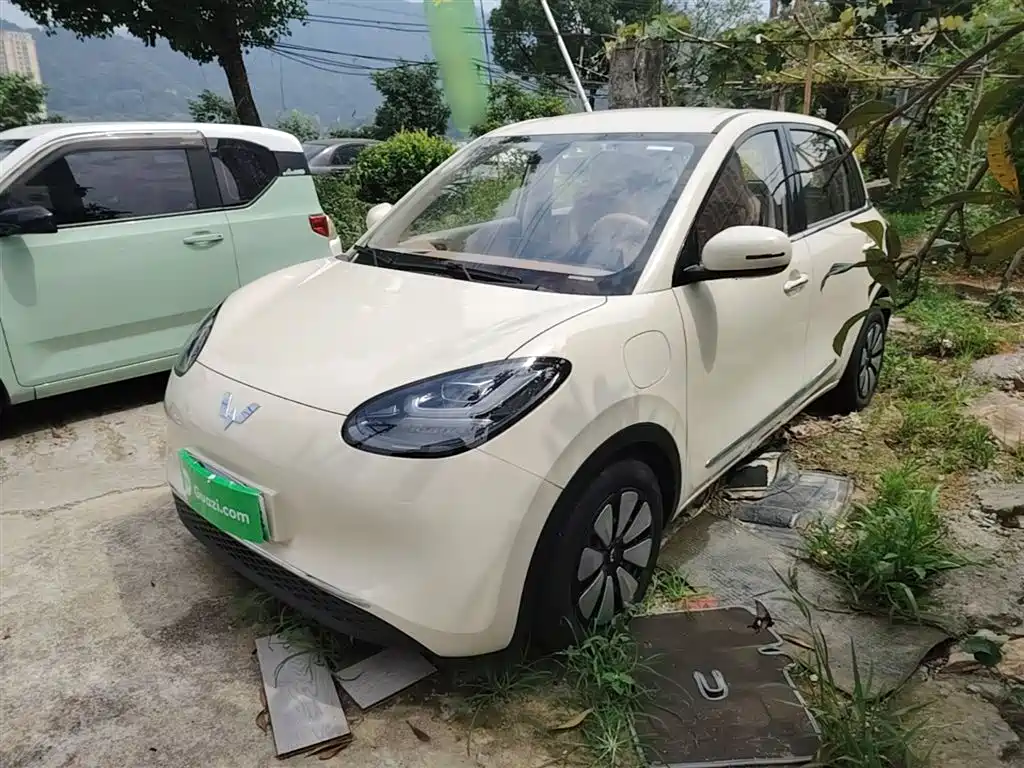 Wuling Binguo