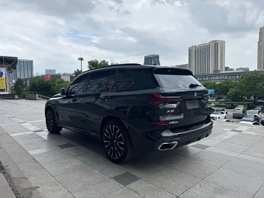 BMW X5 — миниатюра 10