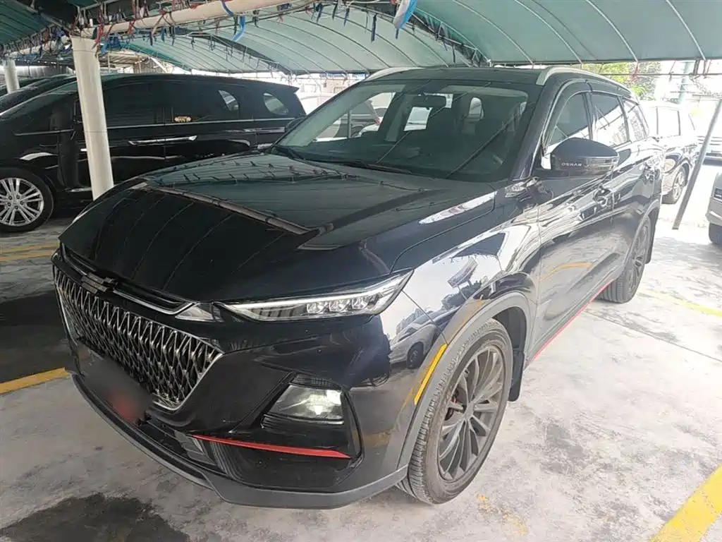 Купить Oshan Oushang X7 PLUS