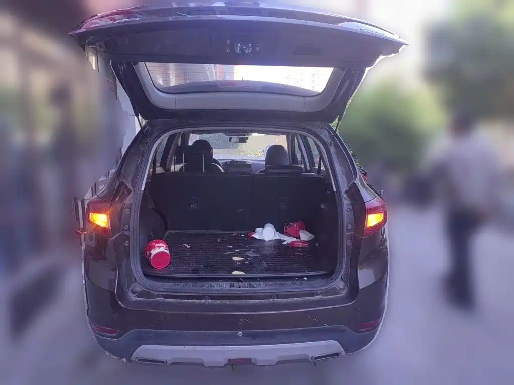Landwind Landwind X5 — миниатюра 20
