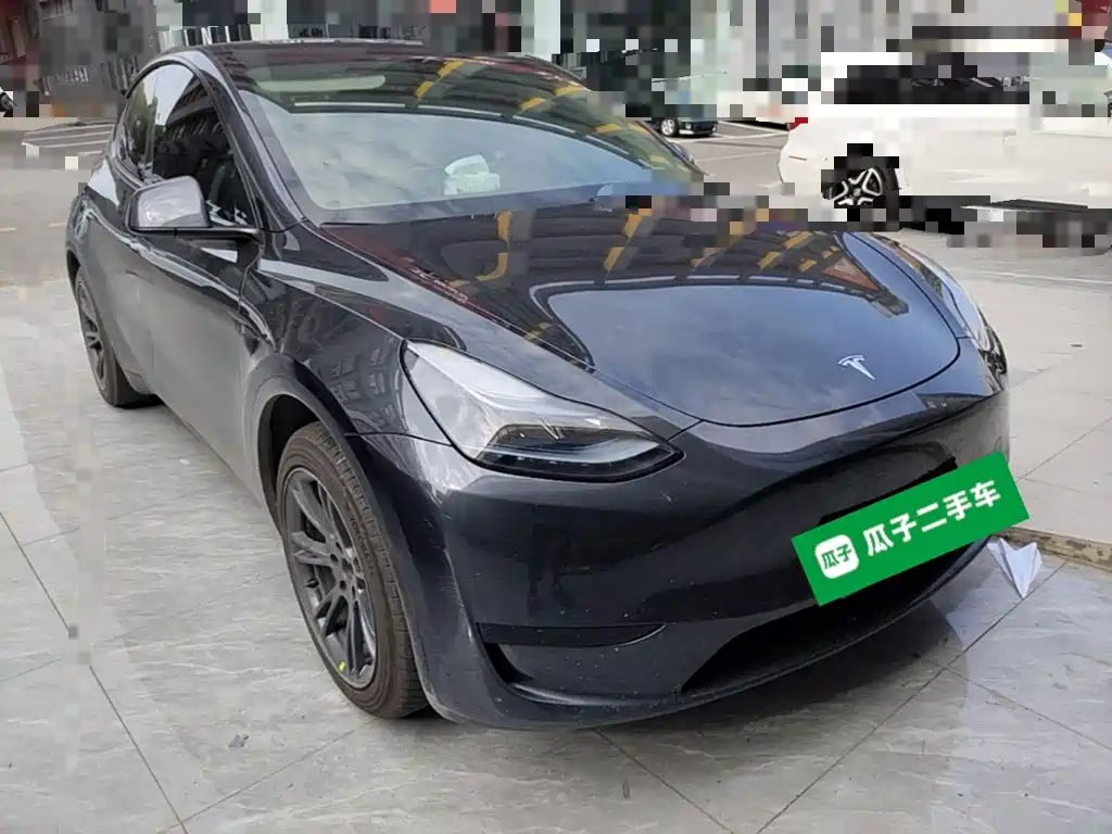 Tesla Model Y — миниатюра 4