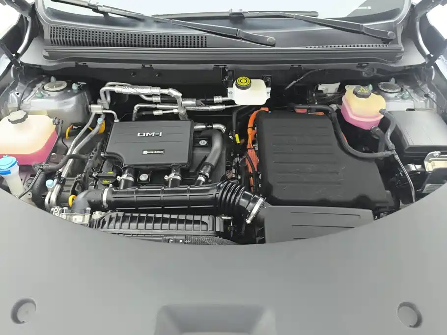 BYD Pro New Energy — миниатюра 10