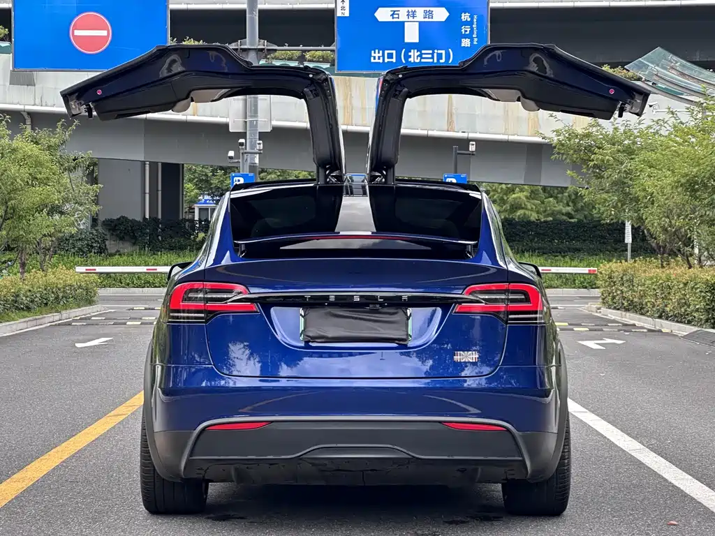 Tesla Model X — миниатюра 22