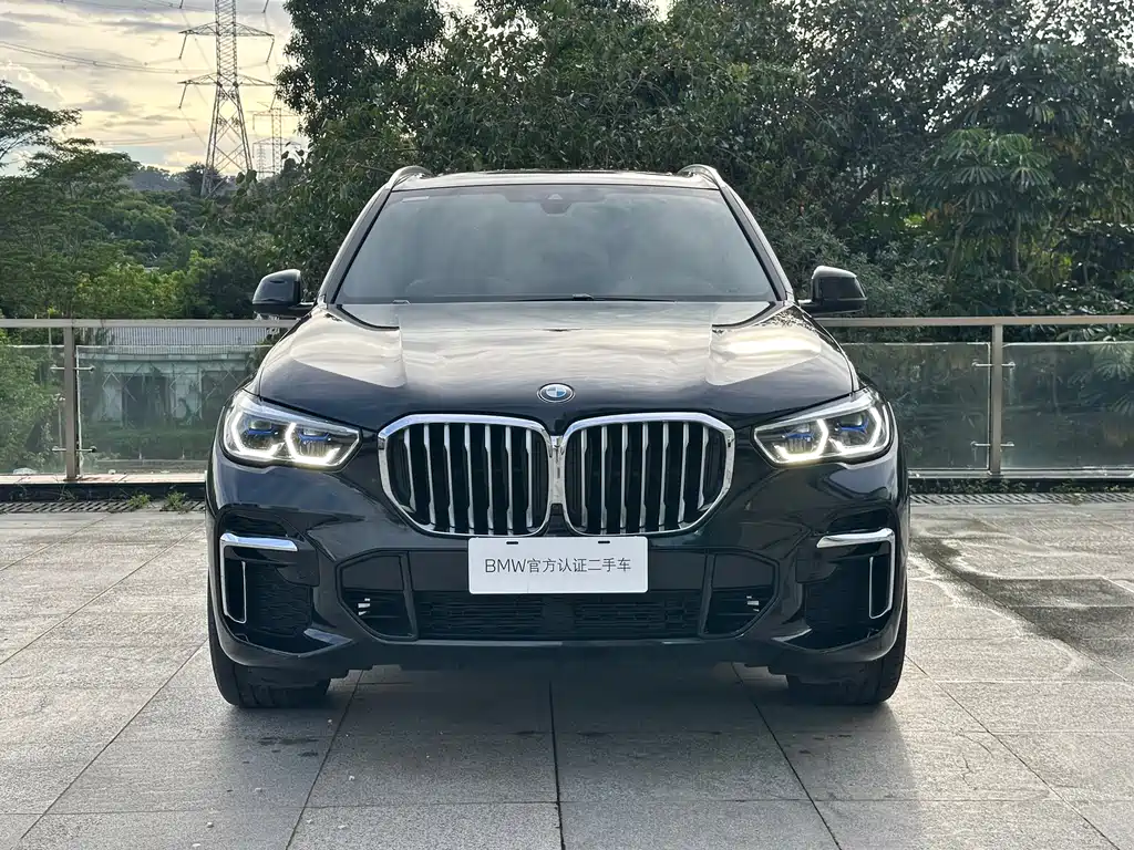 BMW X5 2022 xDrive 40Li M Sport