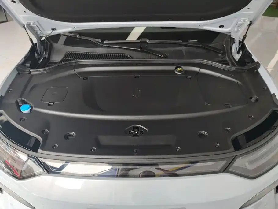 Leapmotor Leapmotor C11 — миниатюра 10