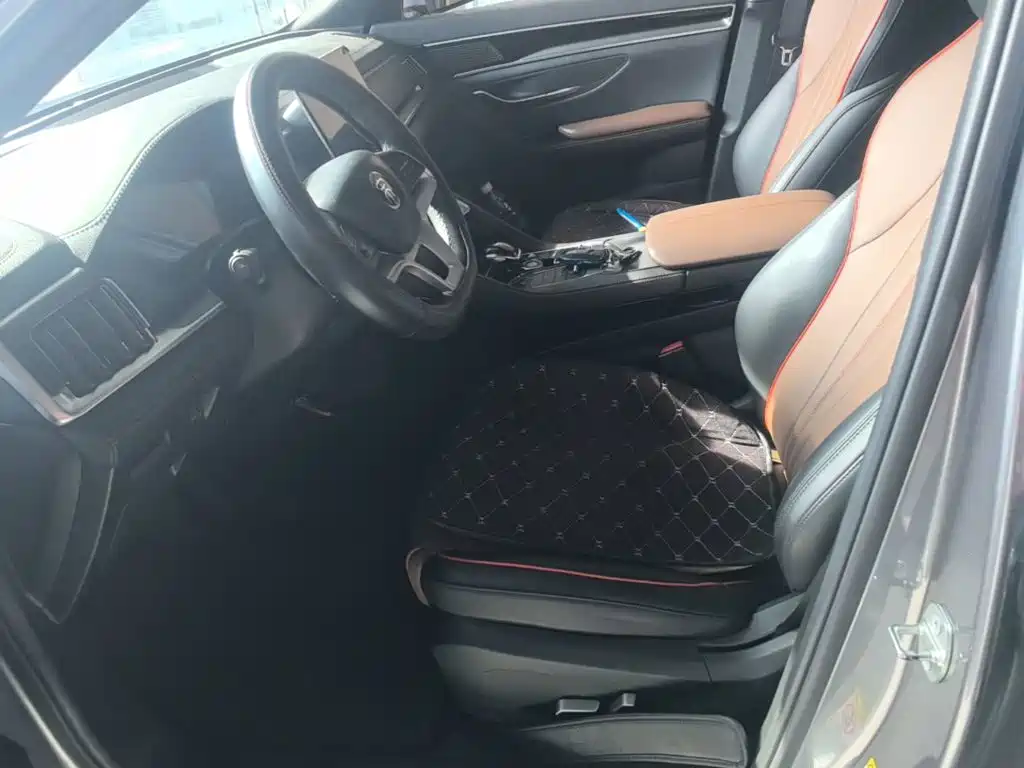 BYD PLUS — миниатюра 15