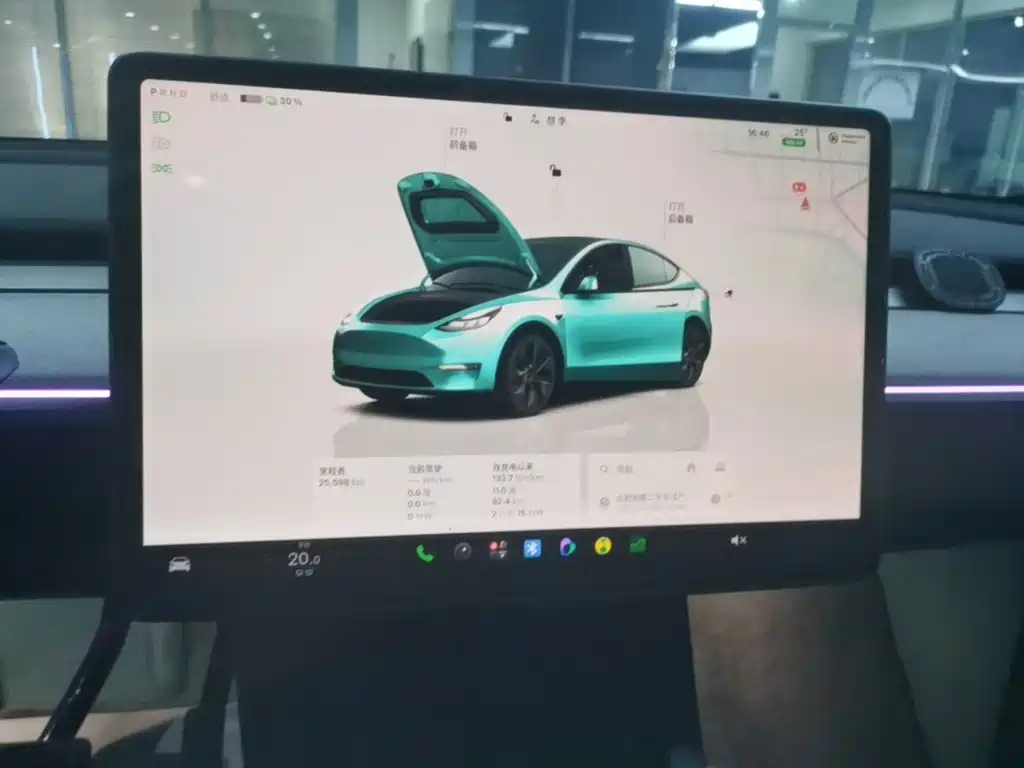 Tesla Model Y — миниатюра 13