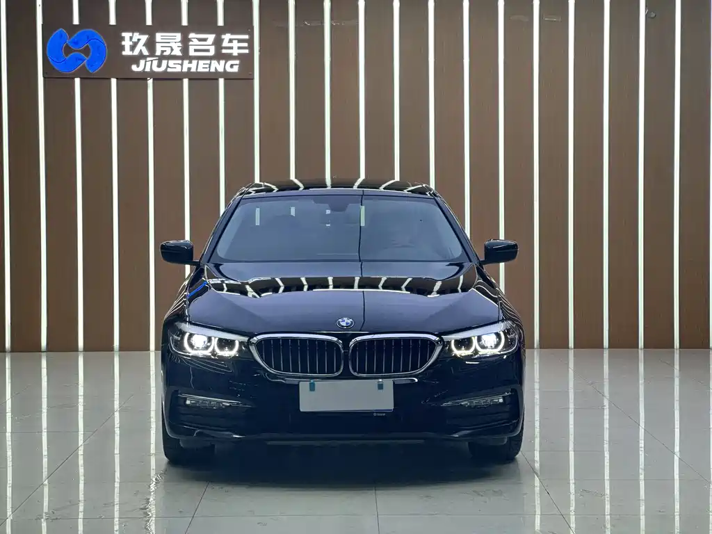 BMW 5 Series 5 2018 528Li