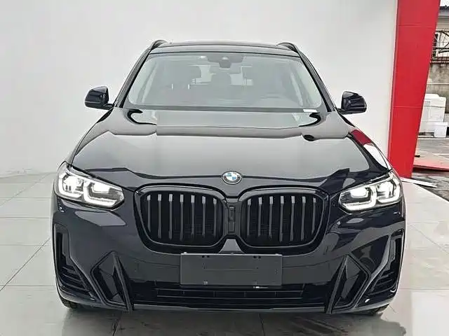 BMW X3 — миниатюра 2