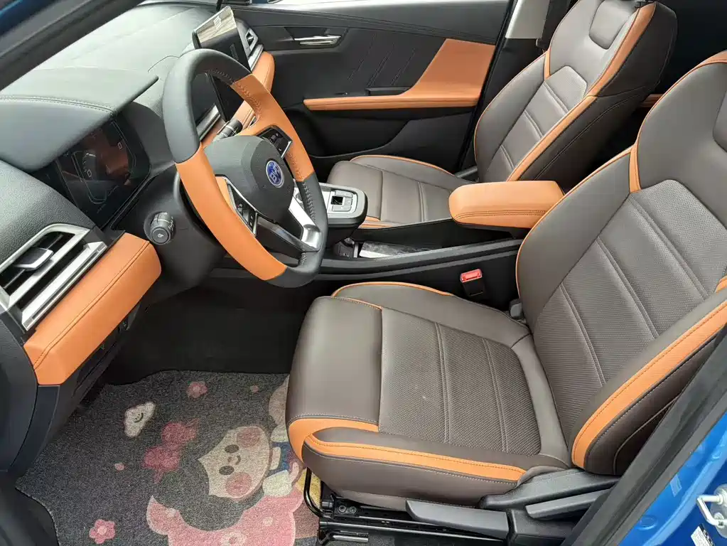 BYD e2 — миниатюра 4