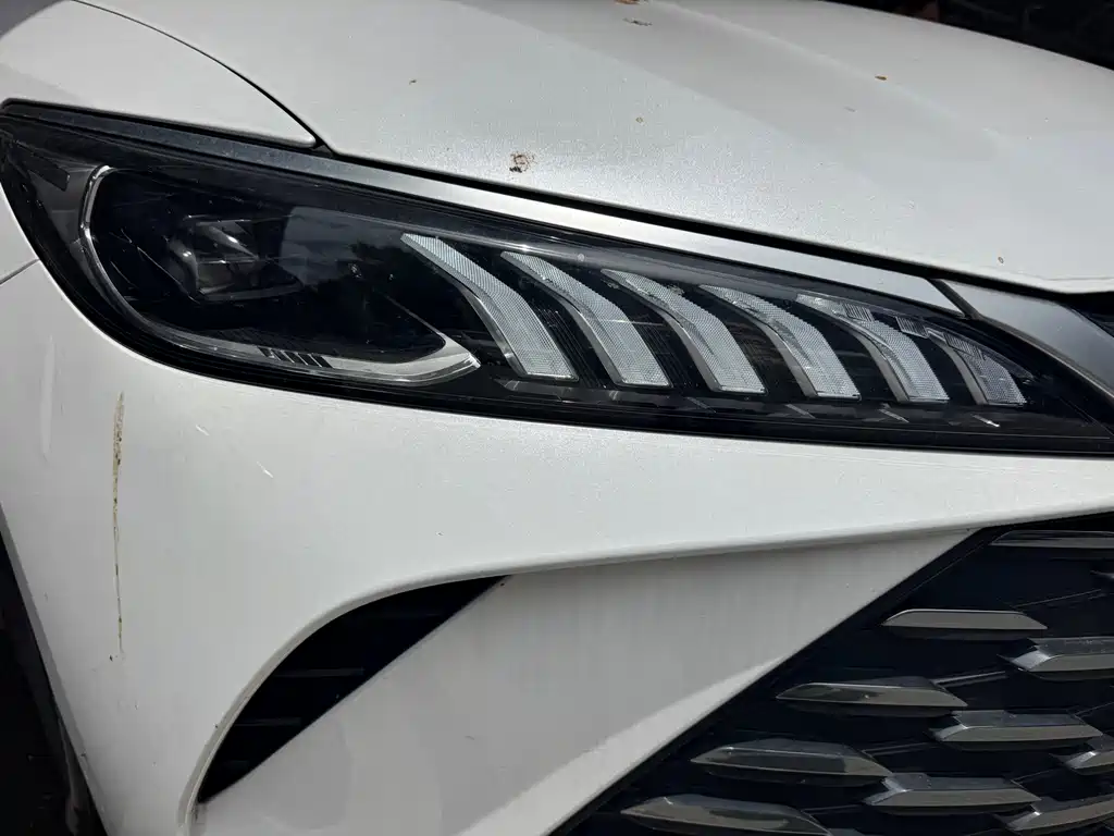 BYD Qin Plus PLUS 2025 DM-i Smart Drive 55KM Lead