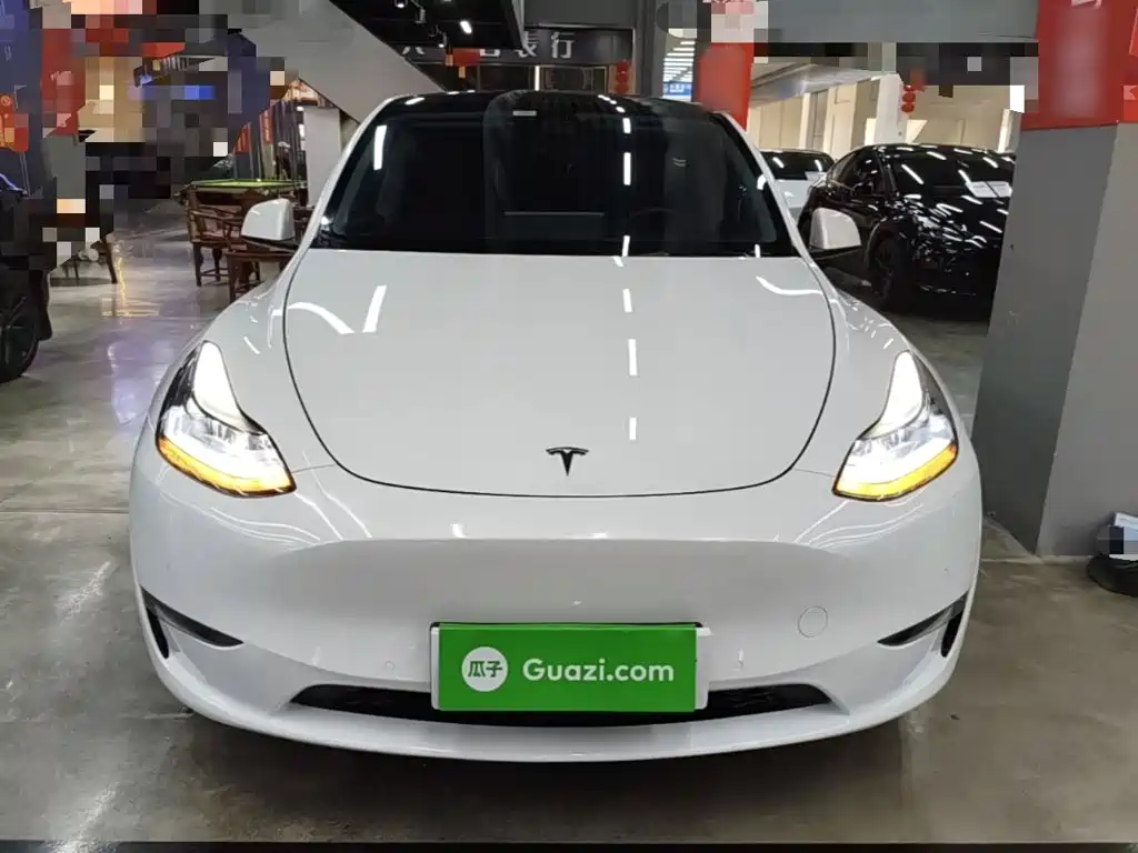 Tesla Model Y — миниатюра 3