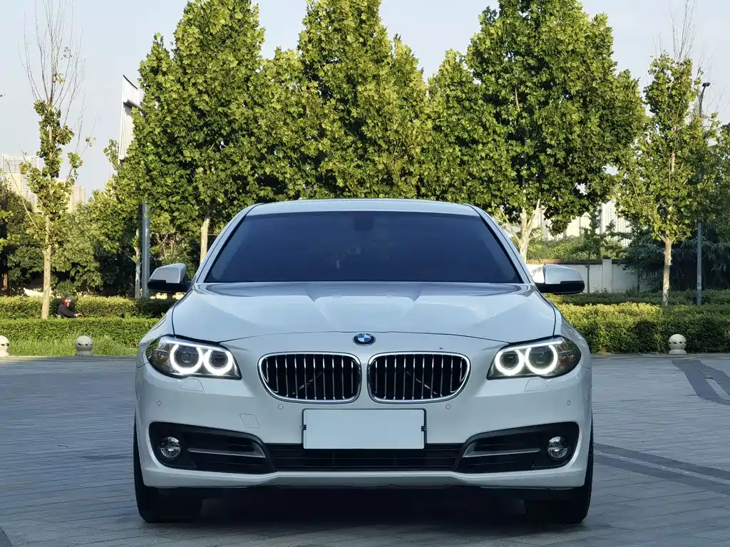 BMW 5 Series — миниатюра 2