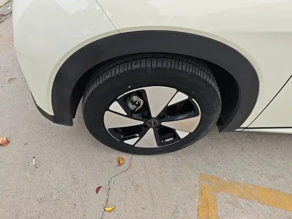 BYD Dolphin — миниатюра 23