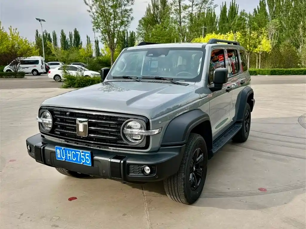 Tank Tank 300 2024