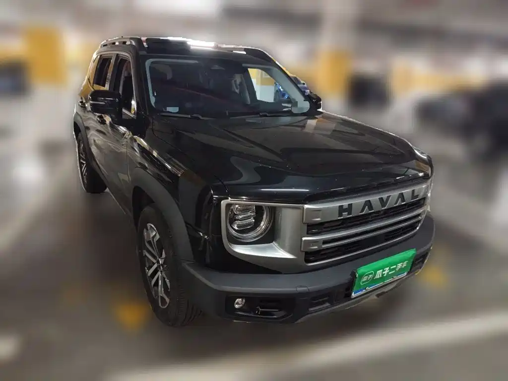 Haval Big Dog — миниатюра 24