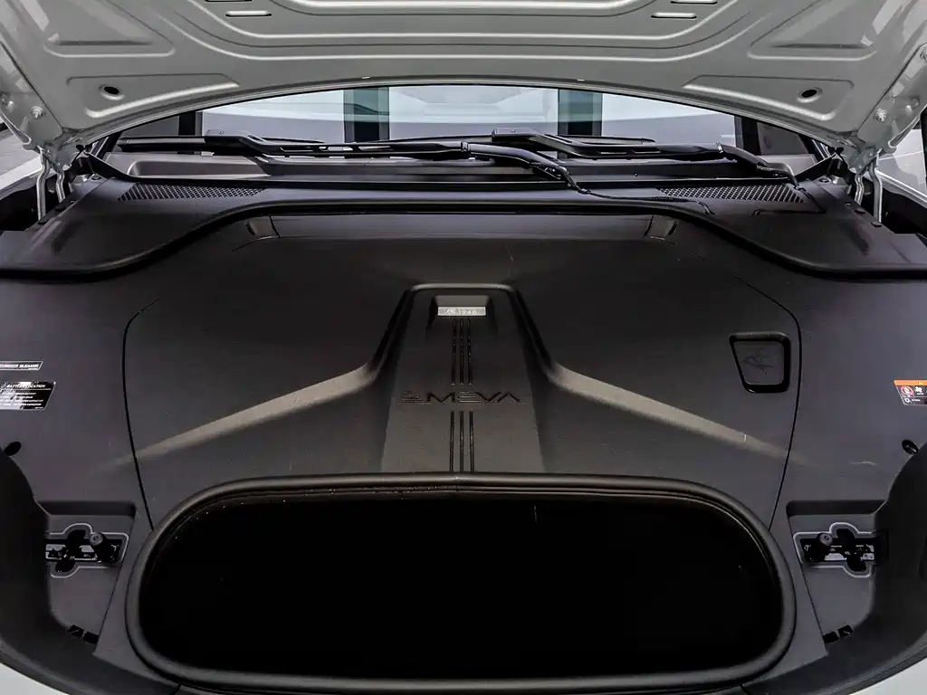 LOTUS SPORTS CAR EMEYA FLOWERS