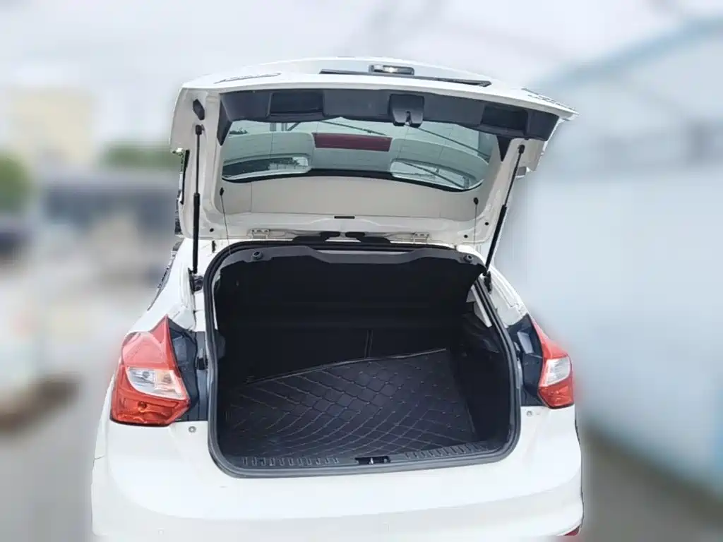 Ford Focus — миниатюра 24