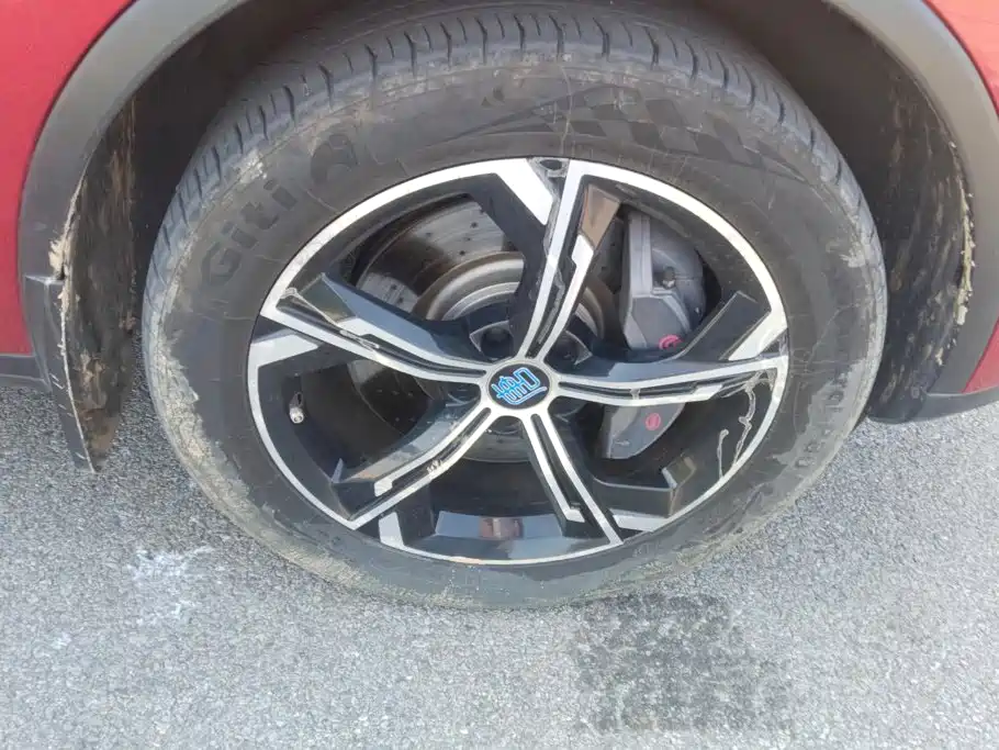 BYD Tang New Energy — миниатюра 6