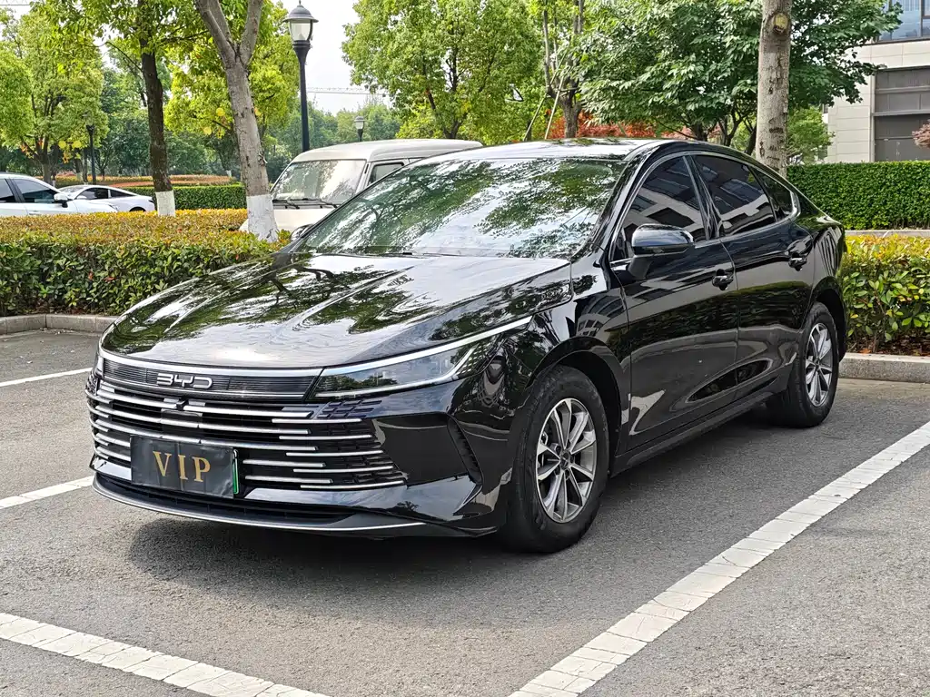 BYD Destroyer 05 2024 DM-i 55KM Luxury