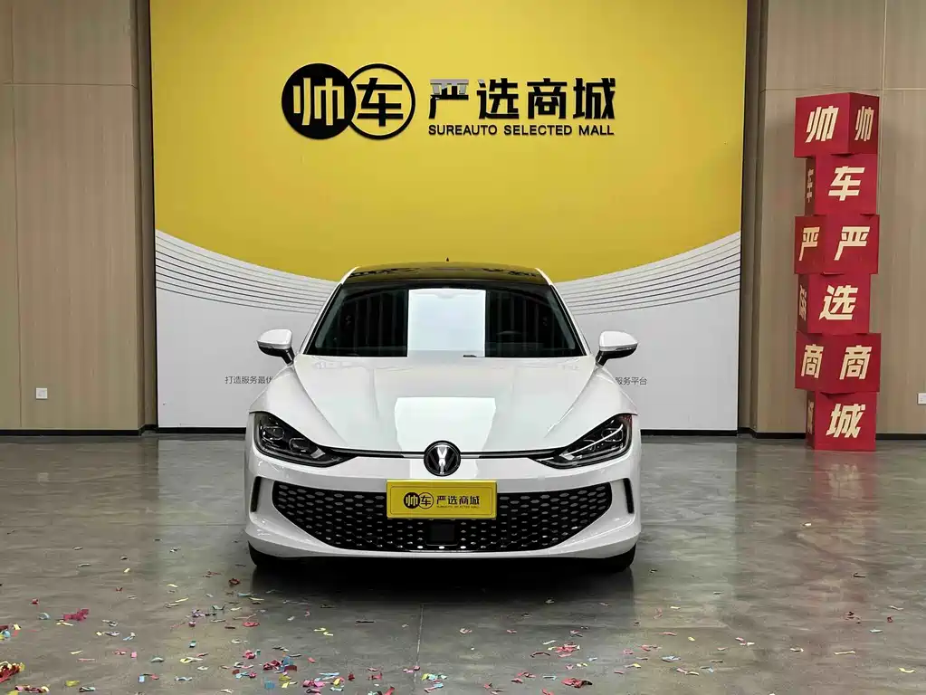 Volkswagen Lamando — миниатюра 2