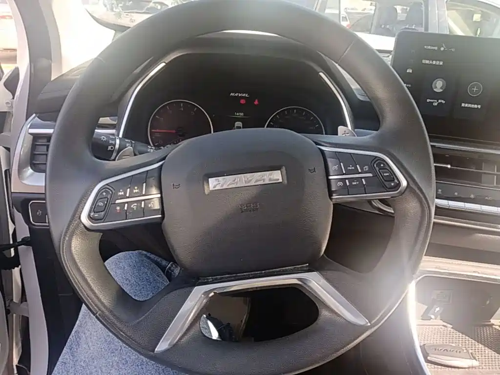 Haval H6 — миниатюра 11