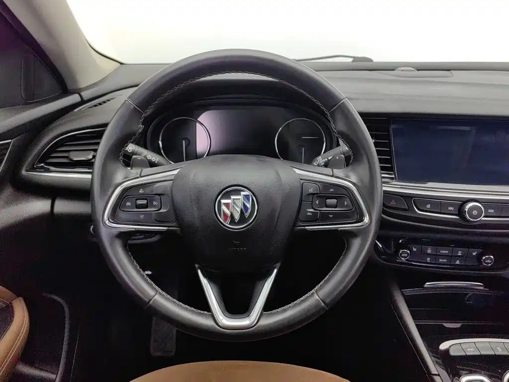 Buick Regal — миниатюра 11