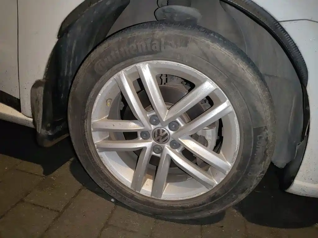 Volkswagen Gran Lavida — миниатюра 8