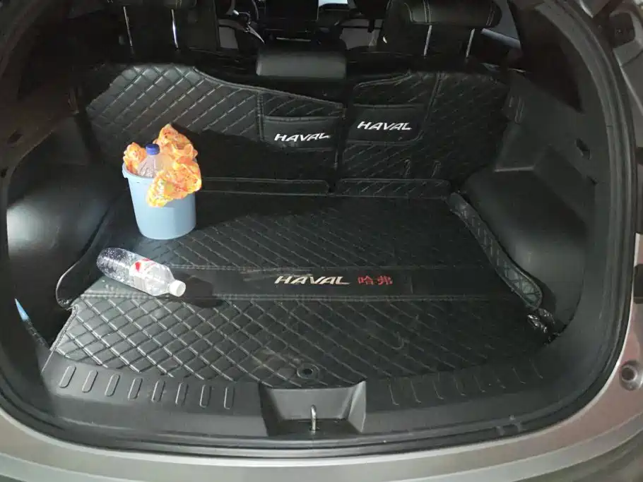 Haval Chitu — миниатюра 4