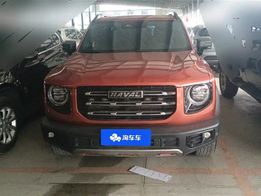 HAVAL BIG DOG