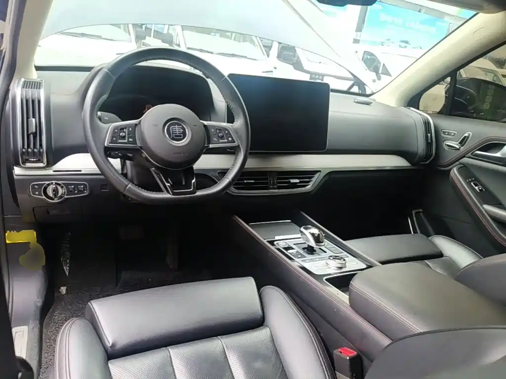BYD Tang New Energy — миниатюра 10