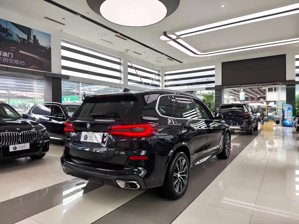 BMW X5 — миниатюра 6