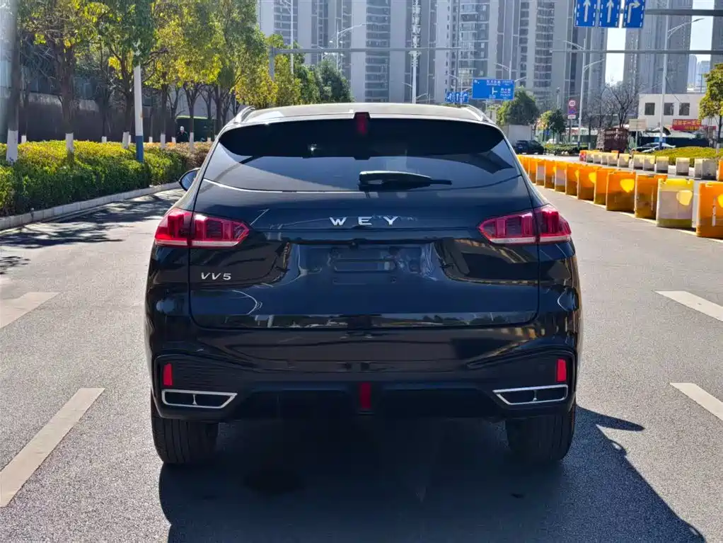 WEI PAI WEI BRAND VV5