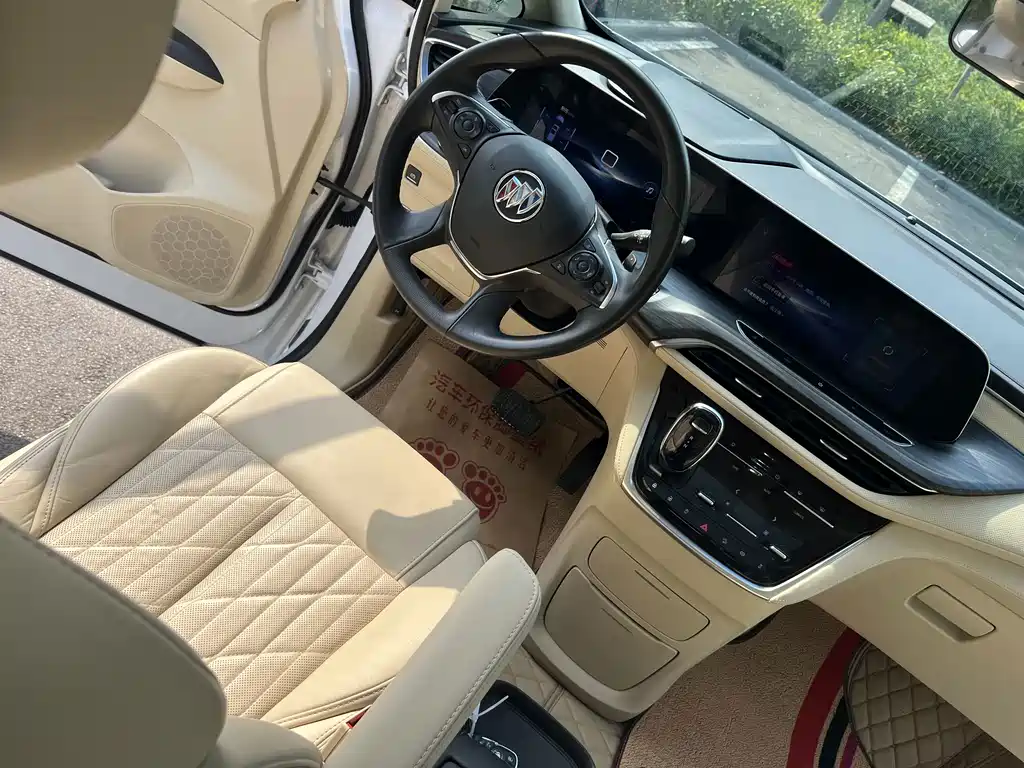 Buick GL8 — миниатюра 14