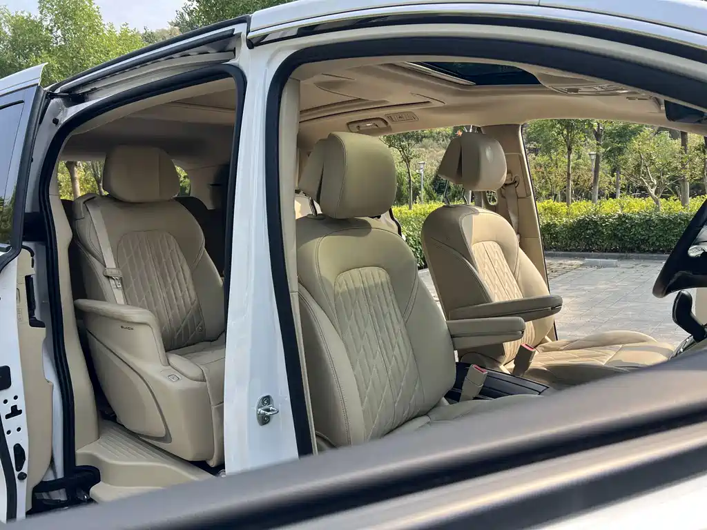 Buick GL8 — миниатюра 20