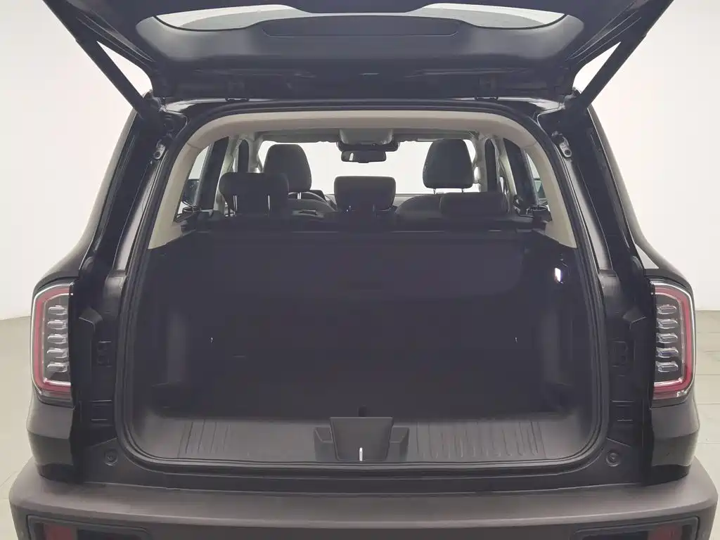 Haval Big Dog — миниатюра 16